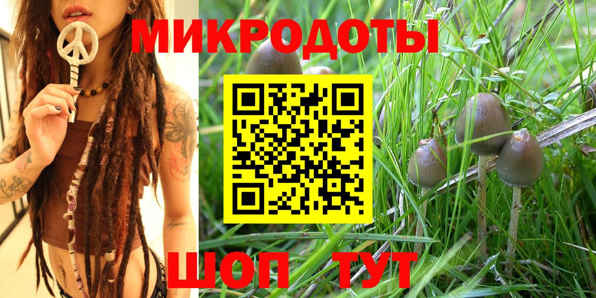 Псилоцибиновые грибы Magic Shrooms  Вход с VPN  Ухта  Псилоцибиновые грибы GOLDEN TEACHER 